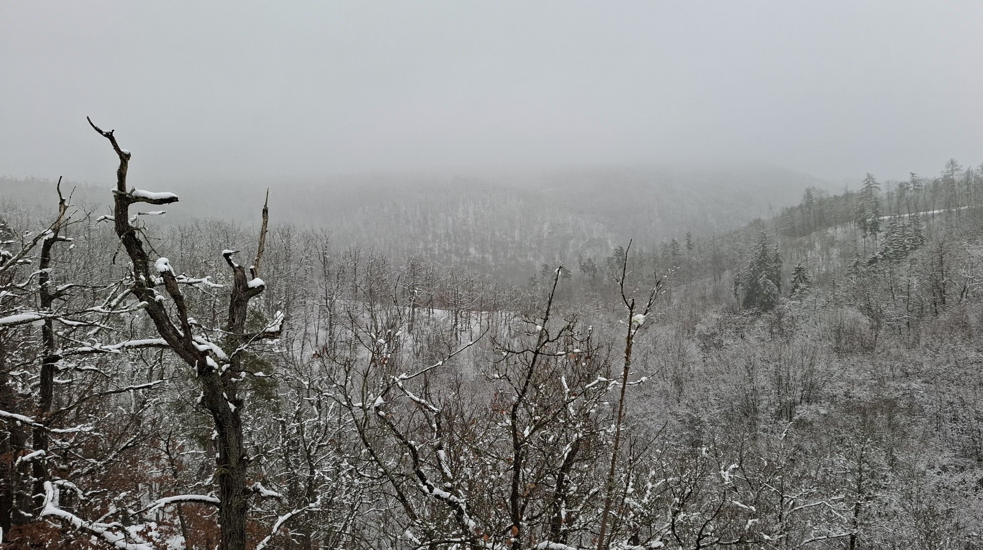 vyhlídka ke statku Novina